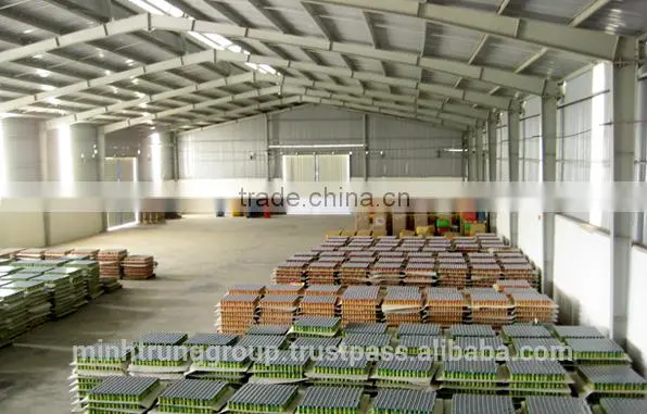 Office and Warehouse for Rent Vietnam photo-4