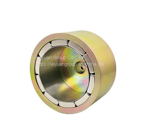 Magnetic Coupling