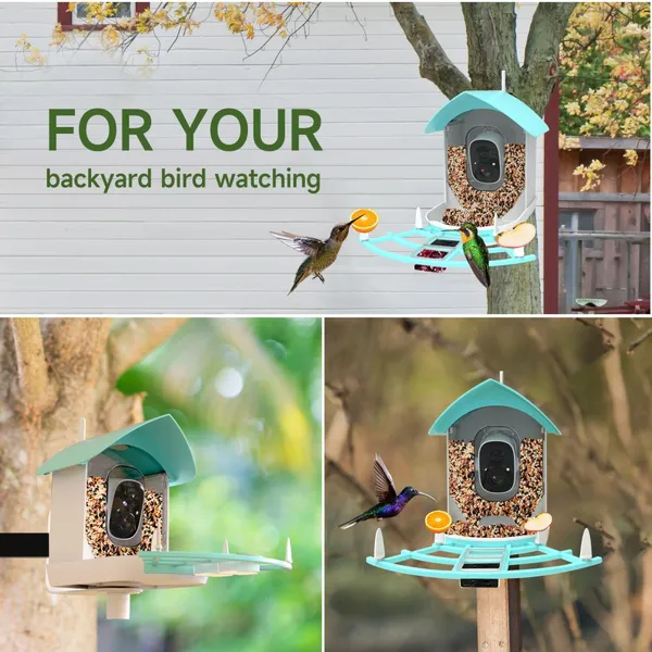 Ringsee 2.4 GHz Wi-Fi Smart Bird Feeder Camera Solar Charging 2.0MP HD Ip65 Weatherproof Network Camera for Outdoor Use photo-5