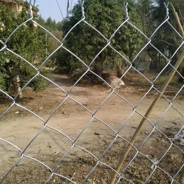 Chain Link Fence With 1.8m Height and 2.4m Panel Width photo-4