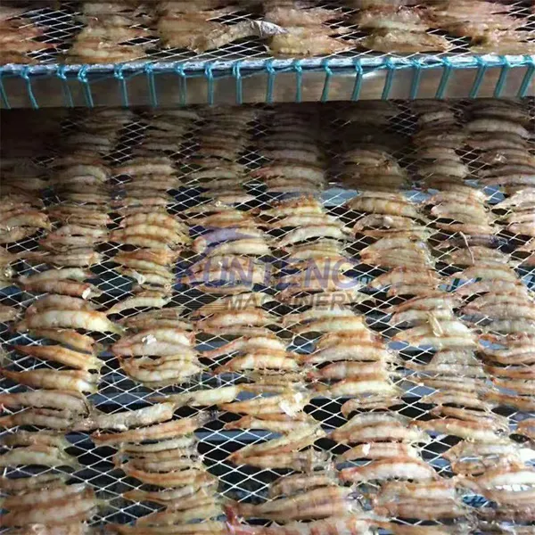 Commercial Dried Meat Salami Drying Machine Salted Sardine Fish Biltong Meat Beef Jerky Fish Dryer Drying Machine EPC photo-3