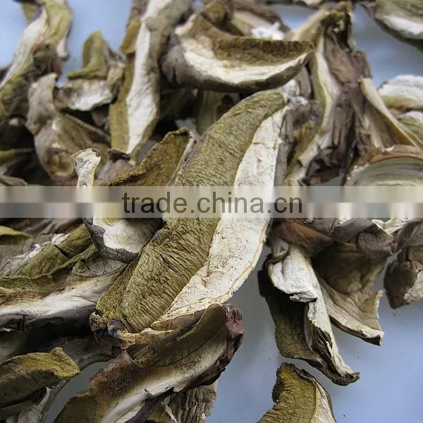 Porcini Mushroom Dried Boletus From Yunnan photo-4