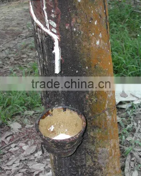 MG Series: All-purpose Latex Glue for Wood, Shoe, Paper photo-2