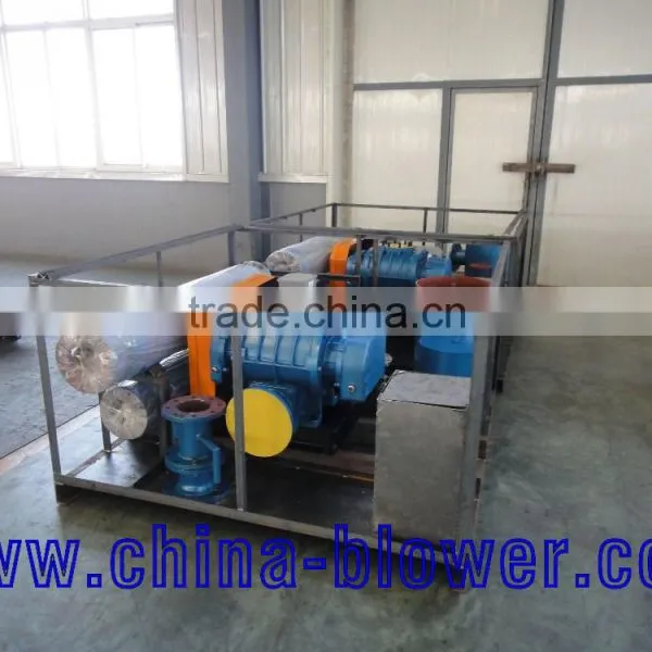 Roots Air Blower Positive Displacement Blower photo-6