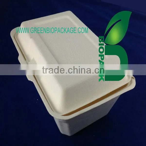 10 Inch 100% Biodegradable Sugarcane Pulp Boxes