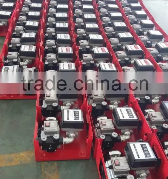 AC220Volt/110v 550W Hot Selling High Speed Fuel Dispenser photo-6