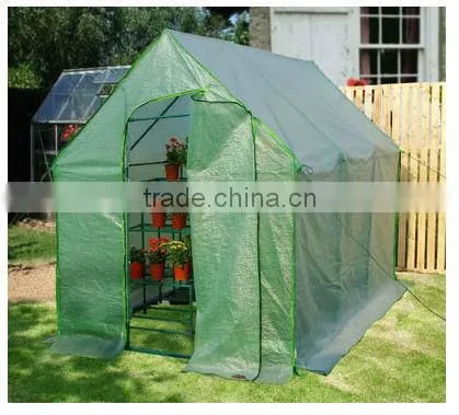 Walk-in Greenhouse (TK24017-E )