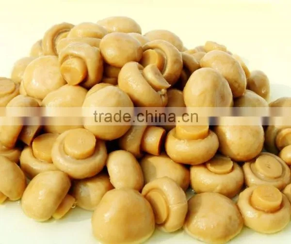 Canned Food Canned Champignon Canned Mushroom/champignon photo-4