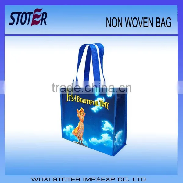 Recycled pp Bag, pp Woven Handbag pp Woven Printed Bags pp Woven Cartoon Bags