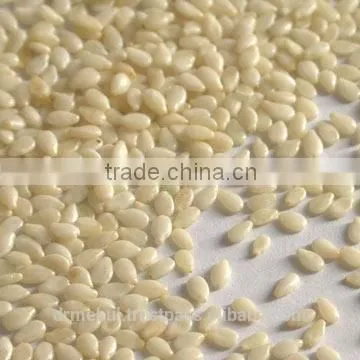 Hulled Sesame Seed photo-2