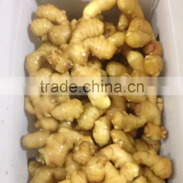 Fresh Ginger With Pvc Carton of Semi-dry Ginger photo-3