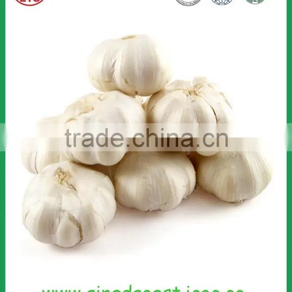 Chinese Jinxiang Grade A Fresh Normal White Garlic on Sale photo-3