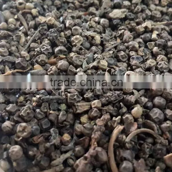 High Quality VIETNAM BLACK PEPPER photo-3