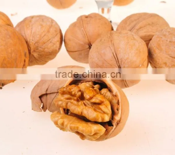 2016 Chinese Hot Selling Walnut Kernel With Top Quanlity/Wholesale Walnuts photo-3