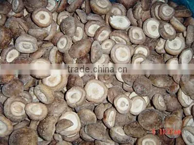 Good Quality Frozen IQF Shiitake Mushroom