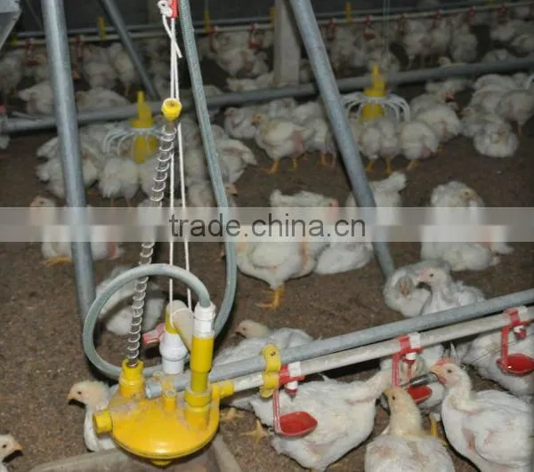 Automatic Drinkers for Chicken