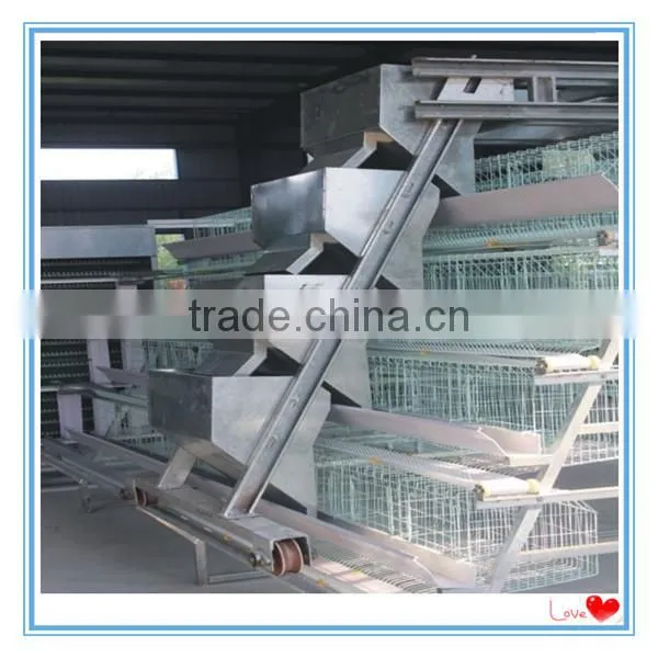 Zhong Zhou Automatic Broiler Poultry Farm Equipment for Chicken Cage