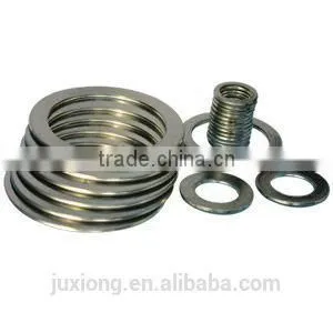 Chemical Industry Used Graphite Spiral Wound Gasket photo-2