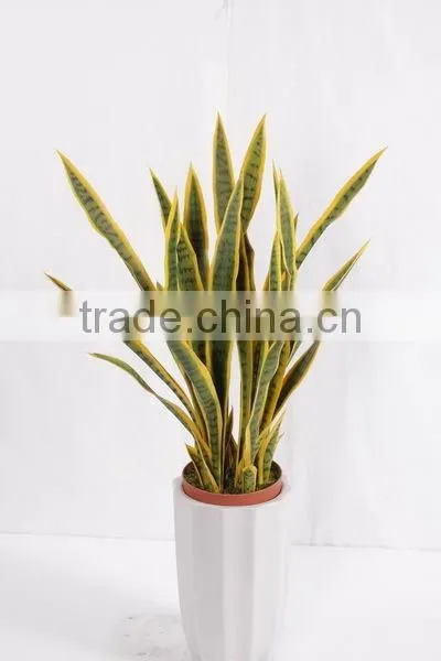 Landscaping Decorative Sanseviera Plant/make Artificial Fake Indoor Potted Plant/golden Ede Sanseviera Plant photo-3