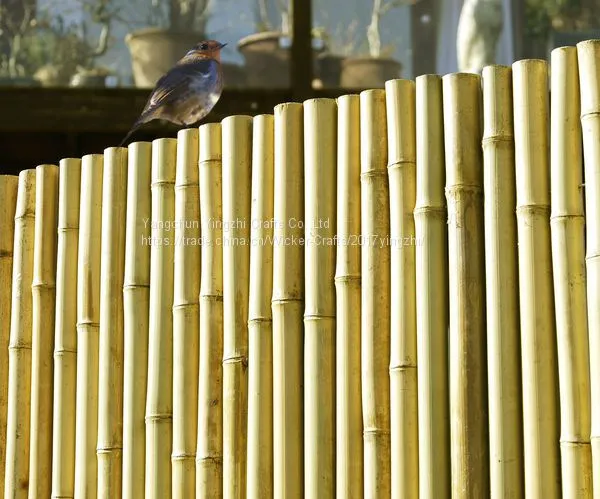 Bamboo Cane,Bamboo Pole,Bamboo Garden Fencing