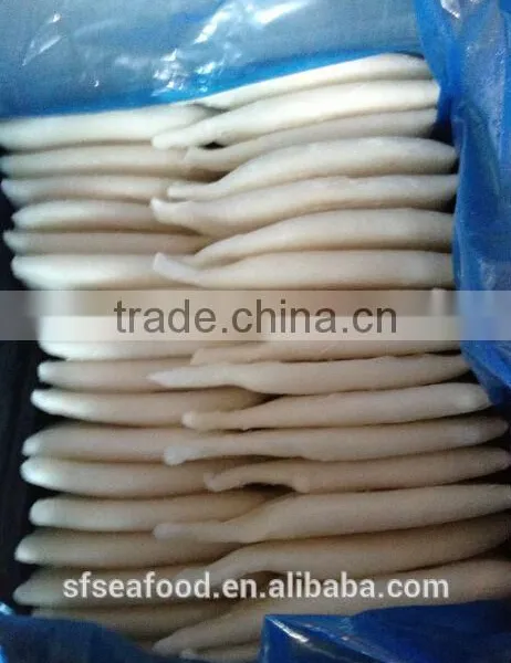 Frozen Squid Tube U5 photo-2