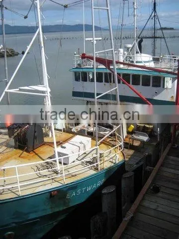 ALBACORE TUNA