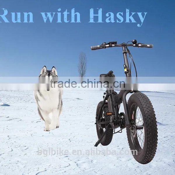 500W Big Power Electric Bicycle Beach Cruiser Ebike for Adults photo-5