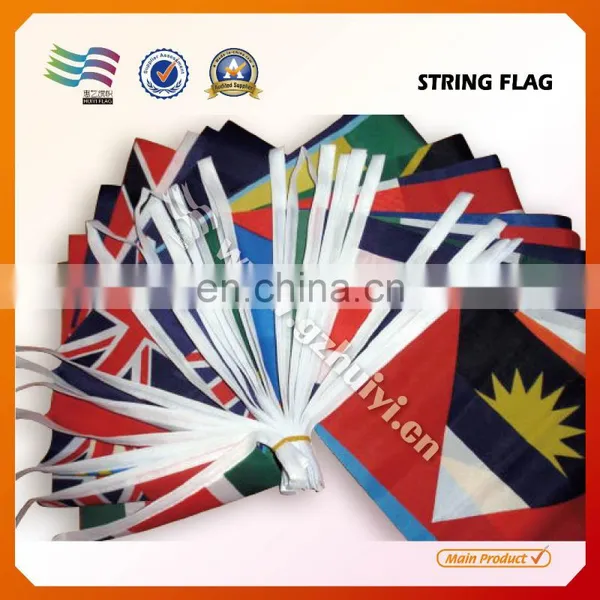 Custom Promotion Hanging National Flags on String photo-4