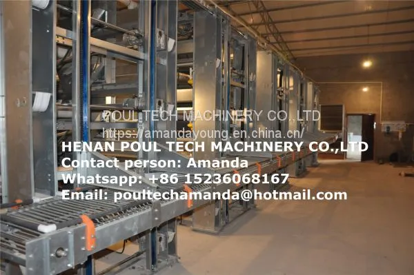 Brazil Poultry Farm Equipment - H Frame Full Automatic Layer Chicken Cage & Battery Chicken Cage & Laying Hen Cage for Farmer in Shed photo-2
