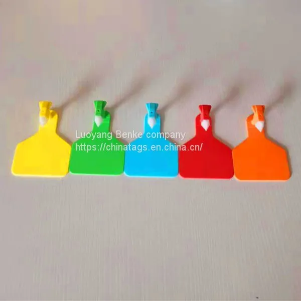 Cheap Price One Piece Type TPU Visual Cattle Ear Tag photo-3