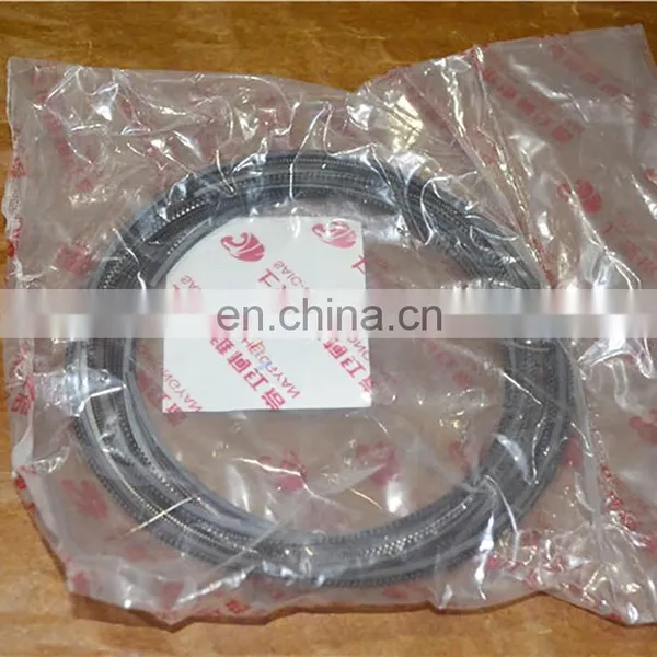 SAIC-IVECO GENELYON S00002021 SET OF PIST RINGS photo-6