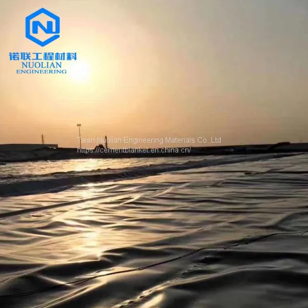 Geomembrane Smooth and Textured Geomembrane Thickness 0.3~3mm Landfill Lake Wetland River Pond Liner photo-4