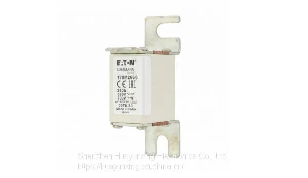 170M2668 Eaton Bussmann Series High Speed Square Body Fuse, 700V UL photo-5