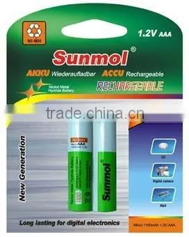1100B2P Ni-MH Rechargeable Aaa Battery