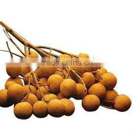 Fresh Longan