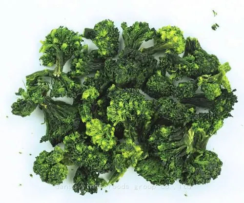 Factory's Best Selling Freeze Dried Broccoli photo-5