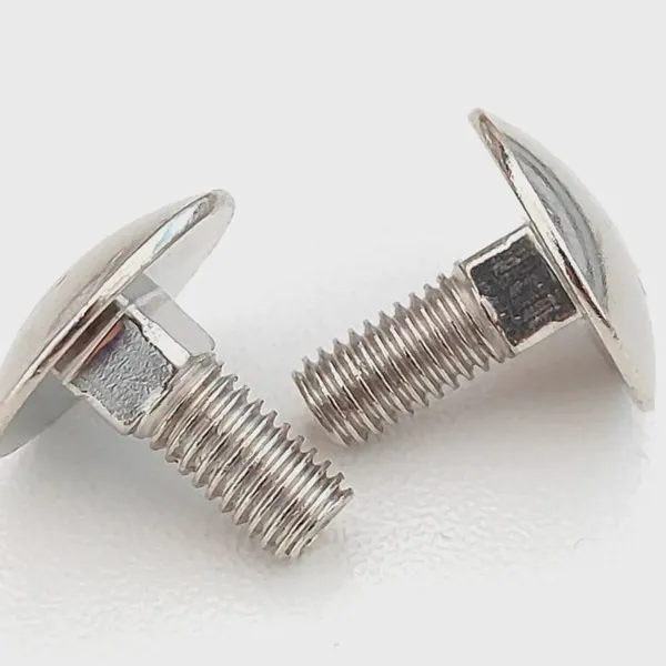 SS 304/316 RHSN Bolt DIN 603 A2-70 A4-80