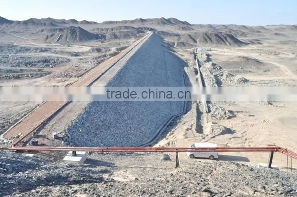 Coal Water Slurry Transportation UHMWPE Pipe With Flanges photo-6