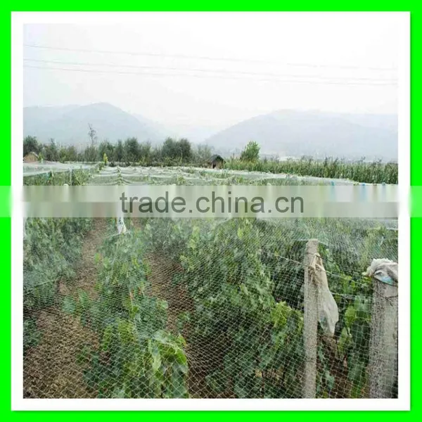 Anti Bird Net for Shrimp Pond Cover/vineyard Bird Mesh photo-5