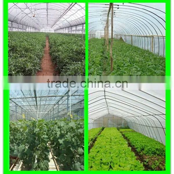 Suntex Virgin PE Clear Protective High Strength Membrane With UV photo-6