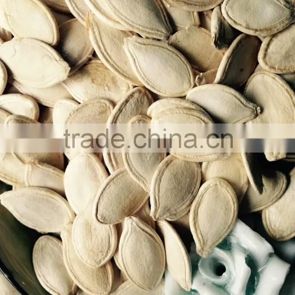 Low Price Shine Skin Pumpkin Seeds 2015 New Crops photo-3