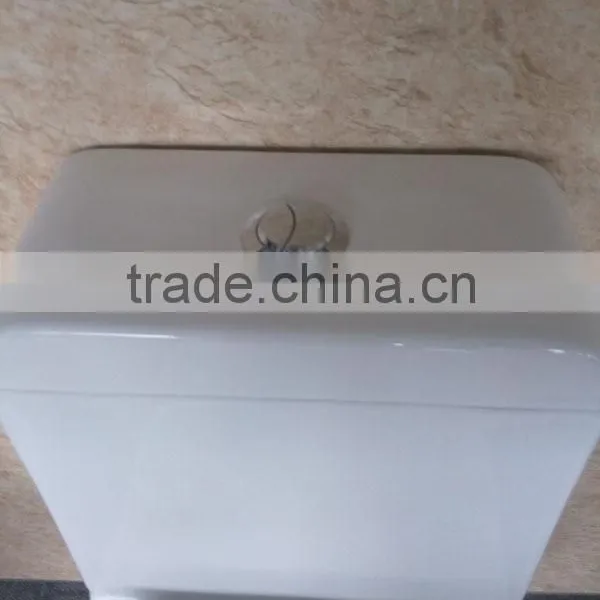 Hot!!!China Dual Flush Siphonic One Piece Toilet 8239 photo-5