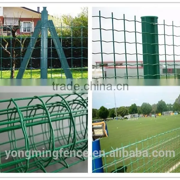 Galvanized and Powder Coating Welded Euro Fence for Sale photo-3