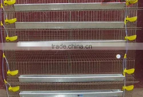 Poultry Battery Cages Waterer Equiped For Quail Rearing photo-2