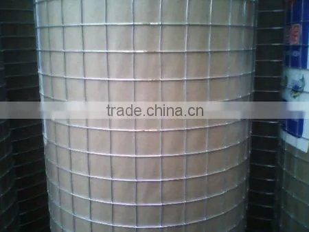 Welded Wire Mesh photo-2