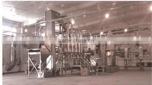 Walnut Shell Shell Kernel Separation Processing Production Line photo-2