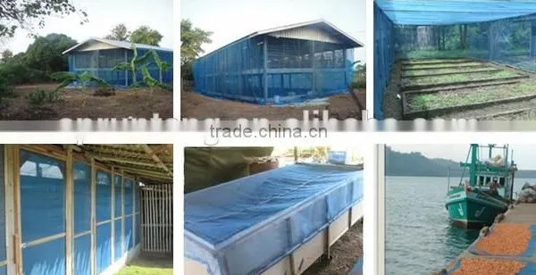 Blue Woven Nylon Net(best Quality and Price,good Aftersale Service and Short Delivery Time) photo-6