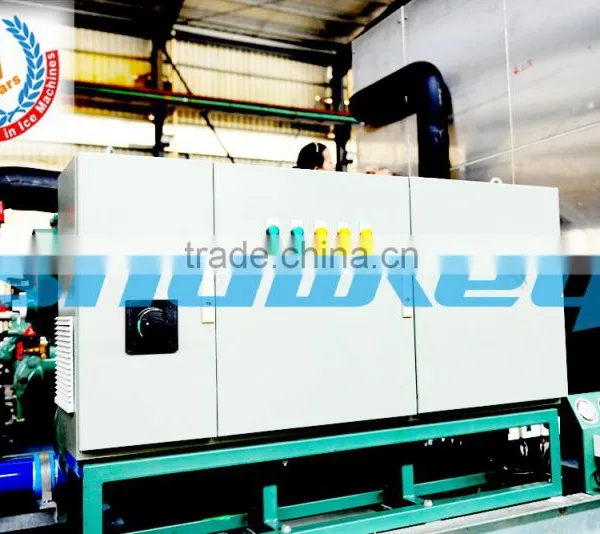 2017 High Quality 8T Plate Ice Make For Malaysia RCommercial Ice Maker Industrial Refrigration Unit photo-2