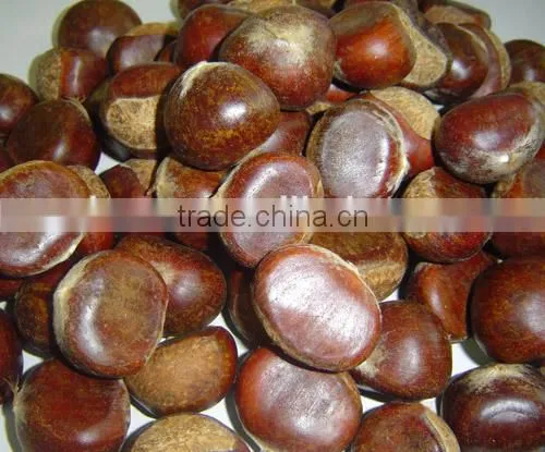 Fresh Sweet Chestnut for Sales photo-2