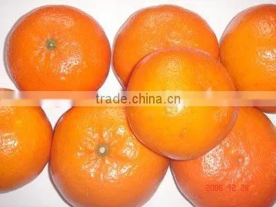 Mandarin Orange